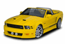 05-09 Mustang Stalker Kit
