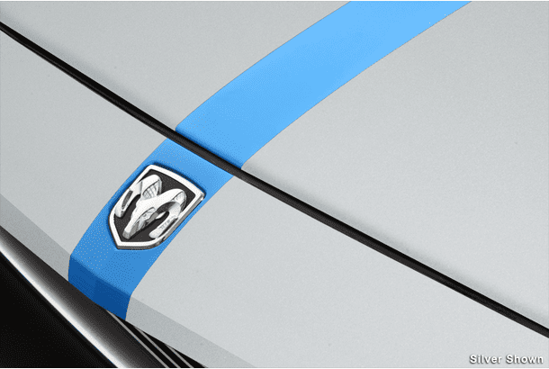 08-10 Challenger Shaker Hood Stripes