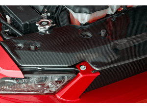 10-12 Carbon Fiber Radiator Cover