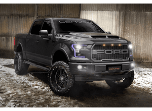 15-20  F150 Ram Air Hood