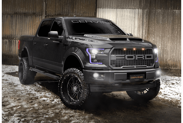 15-20  F150 Ram Air Hood