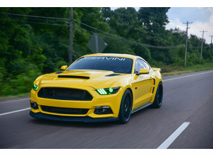 2015-2017 Mustang Stalker Hood