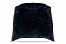 Underside Hood Paint